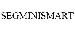 SEGMINISMART