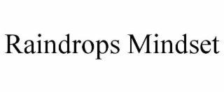 RAINDROPS MINDSET