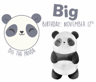 BIG BIRTHDAY:NOVEMBER 17TH BIG THE PANDA