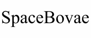 SPACEBOVAE
