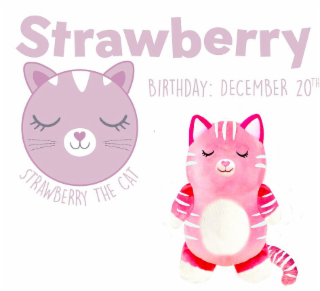 STRAWBERRY BIRTHDAY : DECEMBER 20TH: STRAWBERRY THE CAT