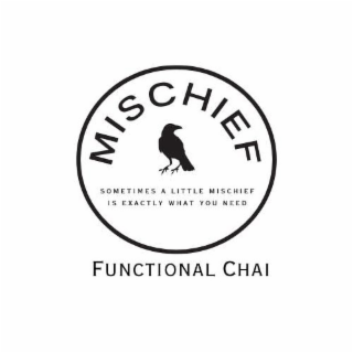 MISCHIEF FUNCTIONAL CHAI SOMETIMES A LITTLE MISCHIEF IS EXACTLY WHAT YOU NEED