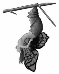 METAMORPHOSYS101
