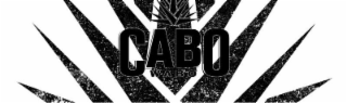 CABO WABO