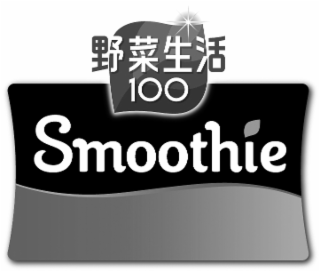 SMOOTHIE 100