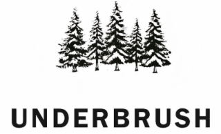UNDERBRUSH