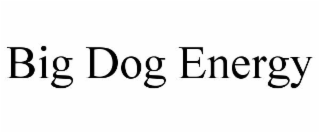 BIG DOG ENERGY