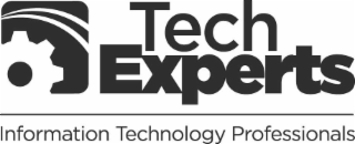 TECH EXPERTS INFORMATION TECHNOLOGY PROFESSIONALS