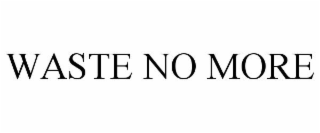 WASTE NO MORE