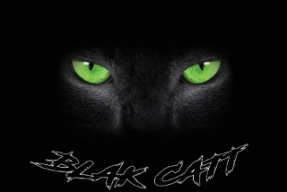 BLACK CATT