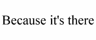 BECAUSE IT'S THERE