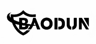 BAODUN
