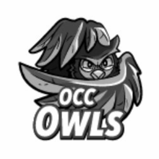 OCC OWLS