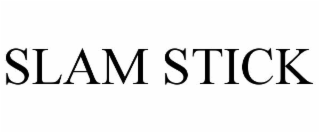 SLAM STICK