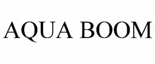 AQUA BOOM