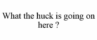 WHAT THE HUCK IS GOING ON HERE ?