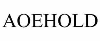 AOEHOLD