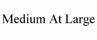 MEDIUM AT LARGE