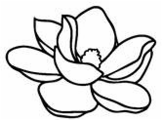 Image Trademark