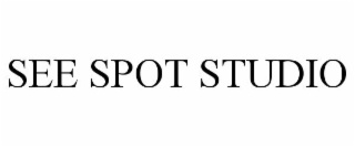 SEE SPOT STUDIO