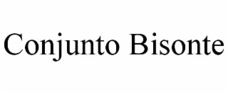 CONJUNTO BISONTE