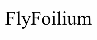 FLYFOILIUM