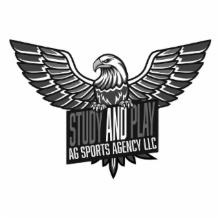 STUDY AND PLAY AG SPORTS AGENCY LLC