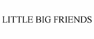 LITTLE BIG FRIENDS