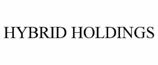 HYBRID HOLDINGS