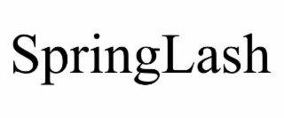 SPRINGLASH