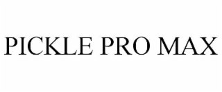 PICKLEPRO MAX POWER PRECISION PERFORMANCE
