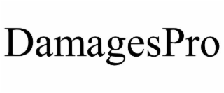 DAMAGESPRO