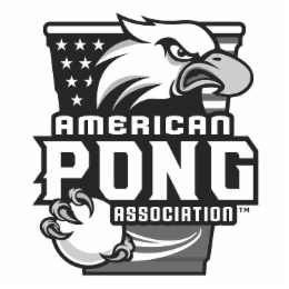 AMERICAN PONG ASSOCIATION