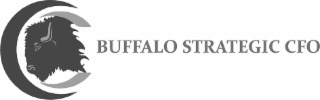 BUFFALO STRATEGIC CFO