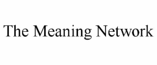 THE MEANING NETWORK