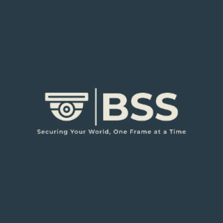 BSS SECURING YOUR WORLD, ONE FRAME AT A TIME