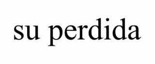SU PERDIDA