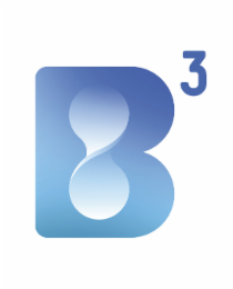 B3