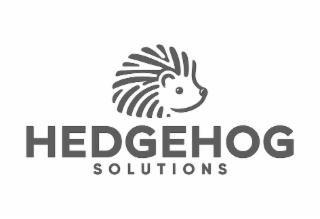 HEDGEHOG SOLUTIONS