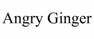 ANGRY GINGER