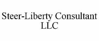 STEER-LIBERTY CONSULTANT LLC