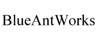 BLUEANTWORKS