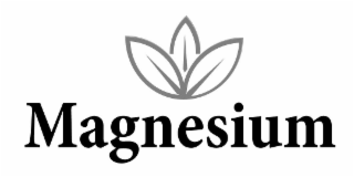 MAGNESIUM