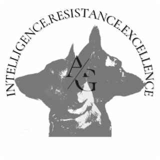 INTELLIGENCE.RESISTANCE.EXCELLENCE. A/G