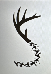 Image Trademark