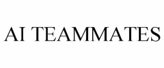 AI TEAMMATES