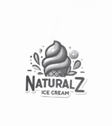 NATURALZ ICE CREAM