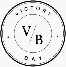 VICTORY BAY B V