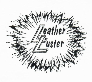 LEATHER LUSTER
