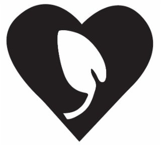 Image Trademark